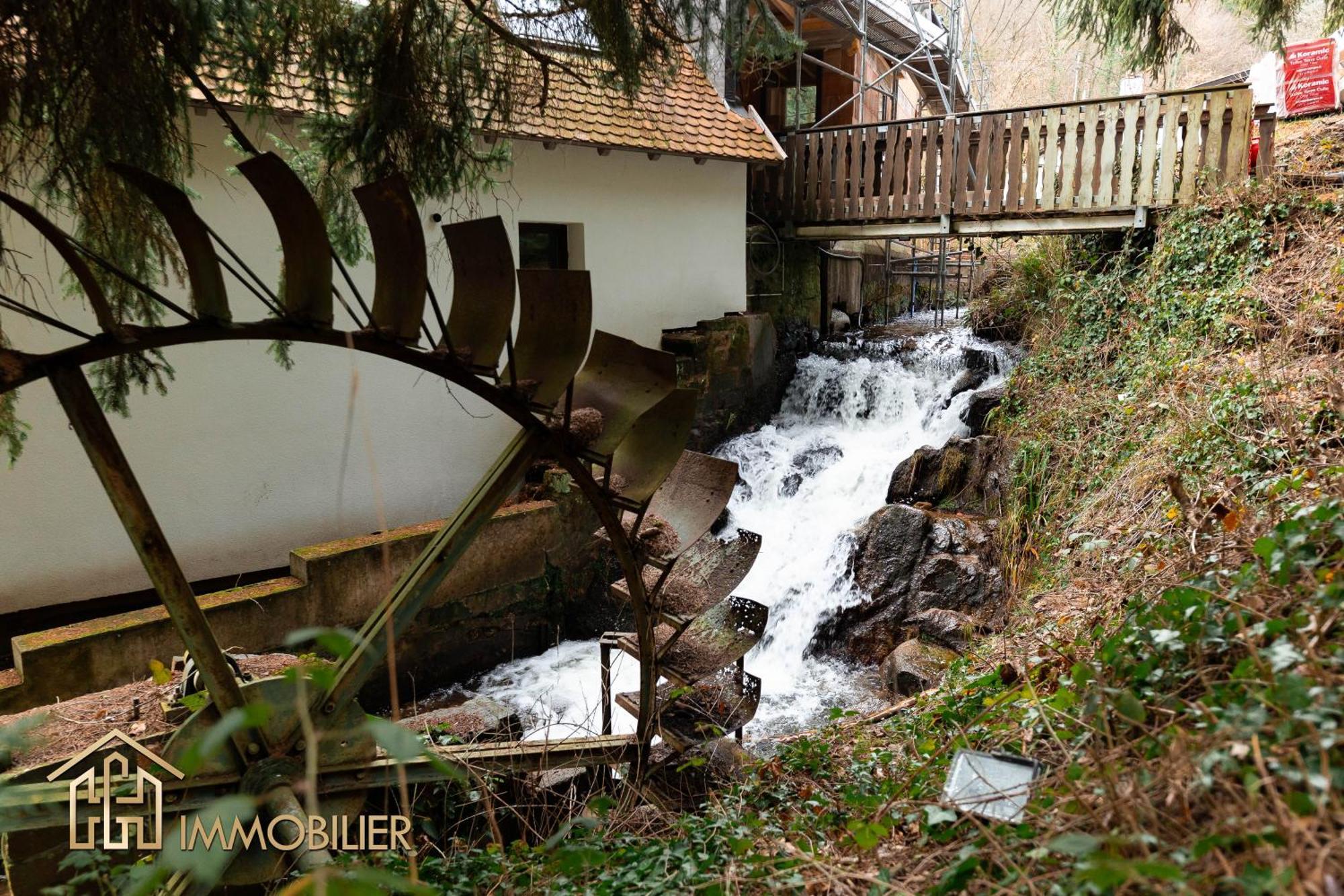 Domaine De La Source Gites 4 Personnes Au Calme Бар Екстериор снимка